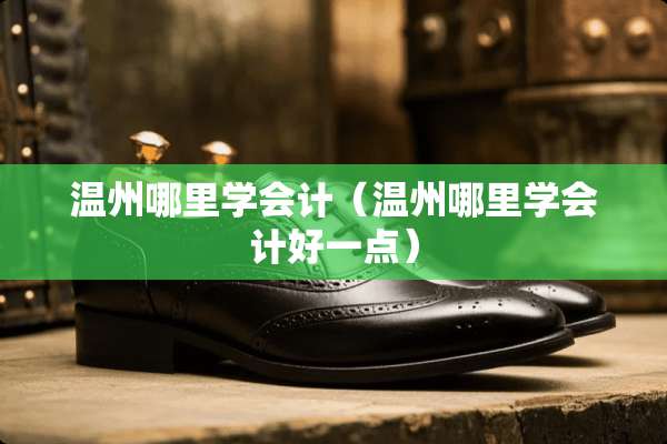 温州哪里学会计（温州哪里学会计好一点）