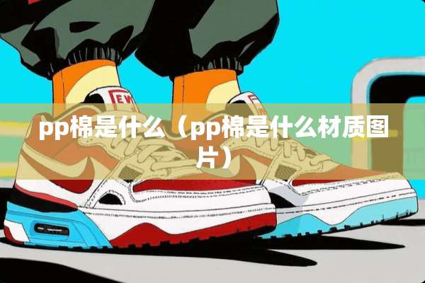 pp棉是什么（pp棉是什么材质图片）