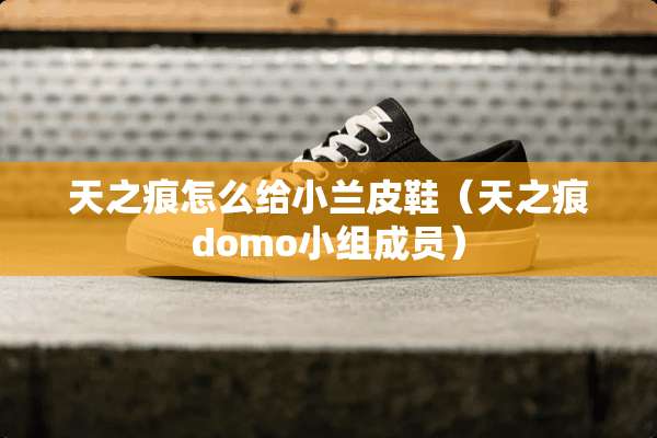 天之痕怎么给小兰皮鞋（天之痕domo小组成员）