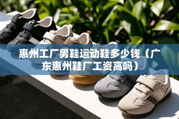 惠州工厂男鞋运动鞋多少钱（广东惠州鞋厂工资高吗）