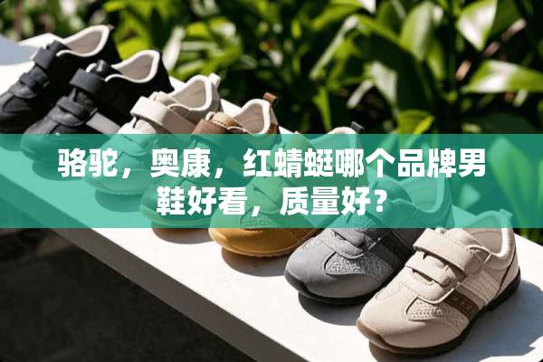 骆驼，奥康，红蜻蜓哪个品牌男鞋好看，质量好？