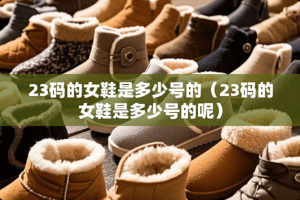 23码的女鞋是多少号的（23码的女鞋是多少号的呢）