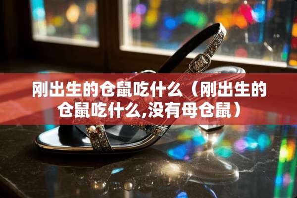 刚出生的仓鼠吃什么（刚出生的仓鼠吃什么,没有母仓鼠）