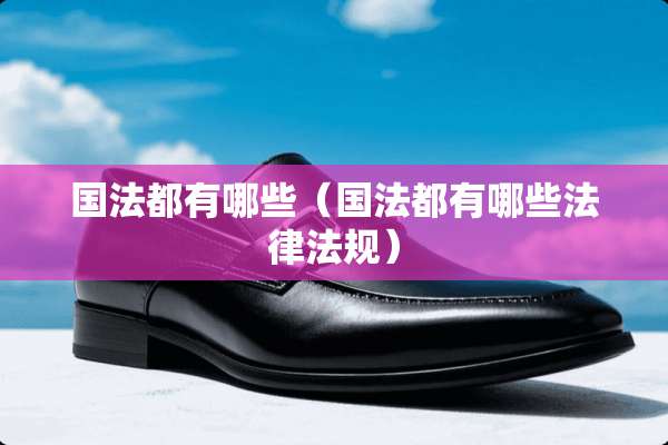 国法都有哪些（国法都有哪些法律法规）