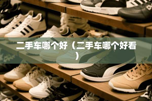 二手车哪个好（二手车哪个好看）
