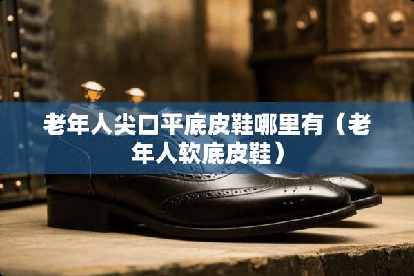 老年人尖口平底皮鞋哪里有（老年人软底皮鞋）