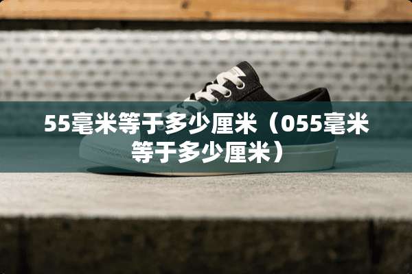 55毫米等于多少厘米（055毫米等于多少厘米）