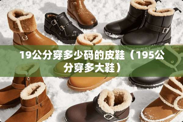 19公分穿多少码的皮鞋（195公分穿多大鞋）