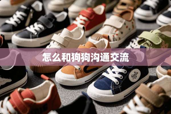 怎么和狗狗沟通交流