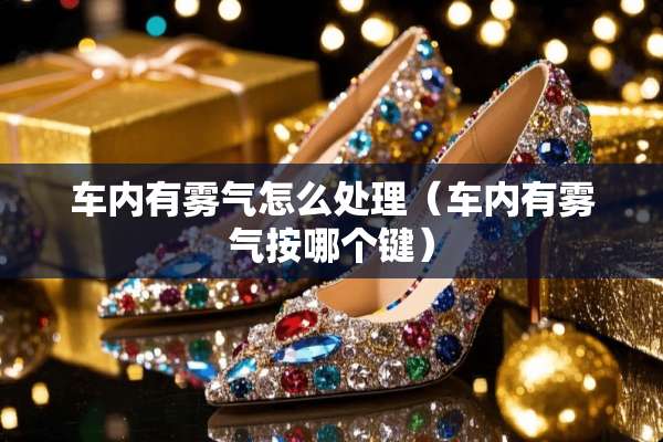 车内有雾气怎么处理（车内有雾气按哪个键）