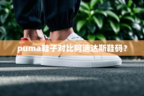 puma鞋子对比阿迪达斯鞋码？