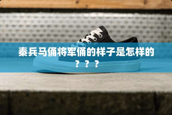秦兵马俑将军俑的样子是怎样的？？？