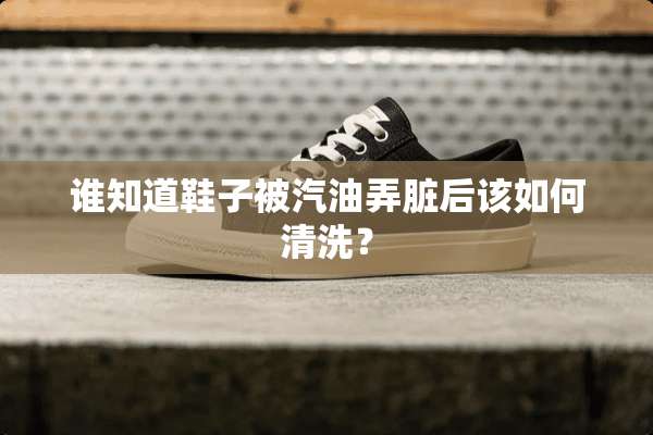 谁知道鞋子被汽油弄脏后该如何清洗？