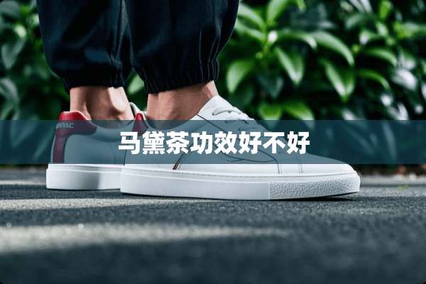 马黛茶功效好不好