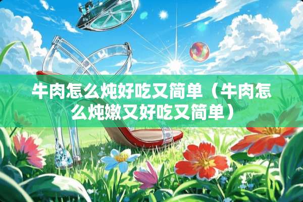 牛肉怎么炖好吃又简单（牛肉怎么炖嫩又好吃又简单）