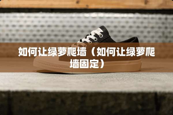 如何让绿萝爬墙（如何让绿萝爬墙固定）