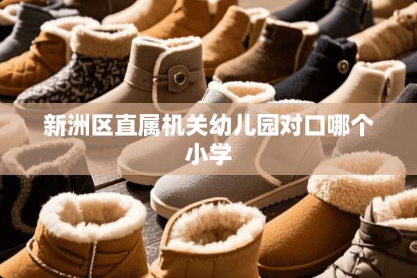 新洲区直属机关幼儿园对口哪个小学