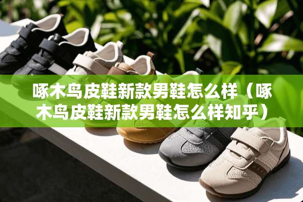 啄木鸟皮鞋新款男鞋怎么样（啄木鸟皮鞋新款男鞋怎么样知乎）