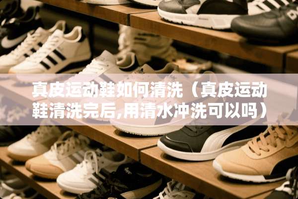 真皮运动鞋如何清洗（真皮运动鞋清洗完后,用清水冲洗可以吗）