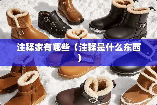 注释家有哪些（注释是什么东西）