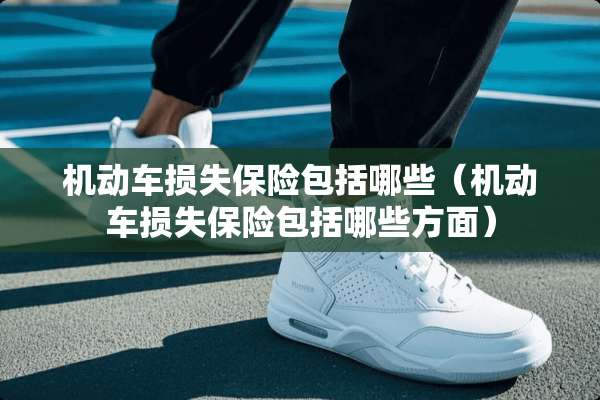 机动车损失保险包括哪些（机动车损失保险包括哪些方面）