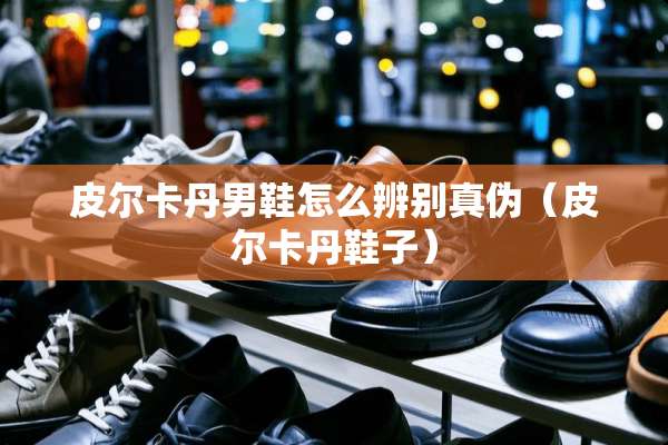 皮尔卡丹男鞋怎么辨别真伪（皮尔卡丹鞋子）