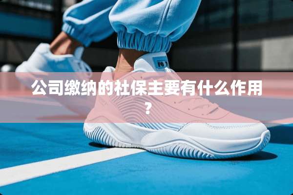公司缴纳的社保主要有什么作用？