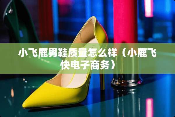 小飞鹿男鞋质量怎么样（小鹿飞快电子商务）