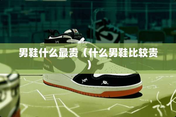 男鞋什么最贵（什么男鞋比较贵）