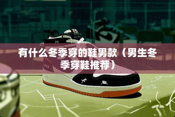 有什么冬季穿的鞋男款（男生冬季穿鞋推荐）