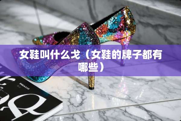 女鞋叫什么戈（女鞋的牌子都有哪些）