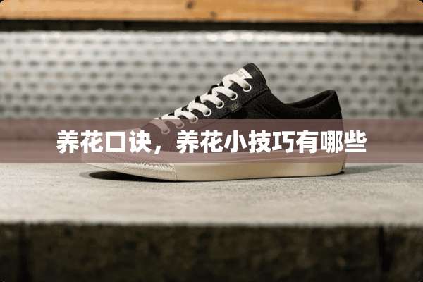 养花口诀，养花小技巧有哪些