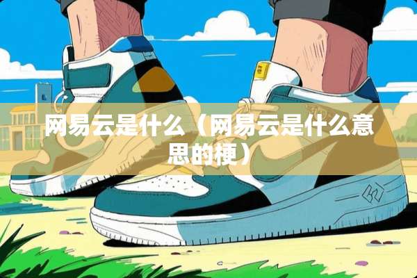 网易云是什么（网易云是什么意思的梗）