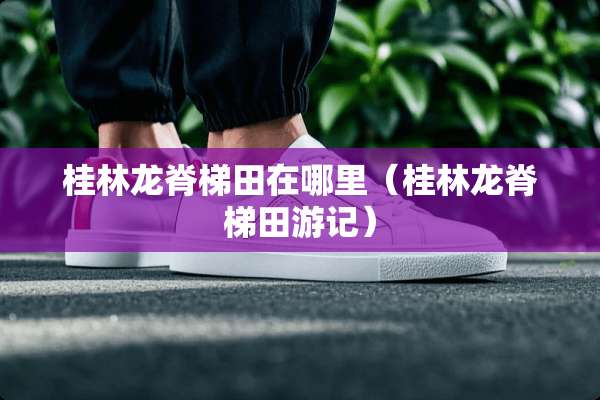 桂林龙脊梯田在哪里（桂林龙脊梯田游记）