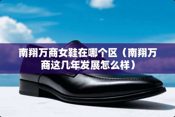 南翔万商女鞋在哪个区（南翔万商这几年发展怎么样）