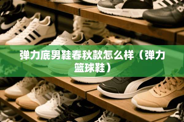 弹力底男鞋春秋款怎么样（弹力篮球鞋）