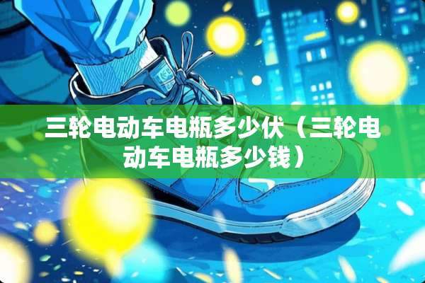 三轮电动车电瓶多少伏（三轮电动车电瓶多少钱）