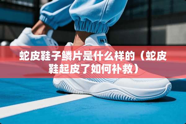 蛇皮鞋子鳞片是什么样的（蛇皮鞋起皮了如何补救）