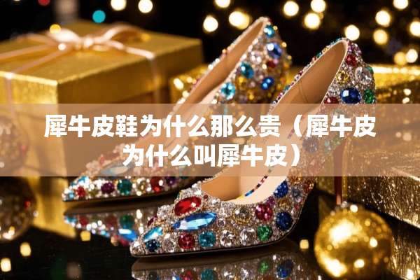 犀牛皮鞋为什么那么贵（犀牛皮为什么叫犀牛皮）