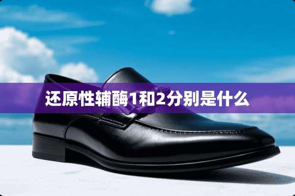 还原性辅酶1和2分别是什么