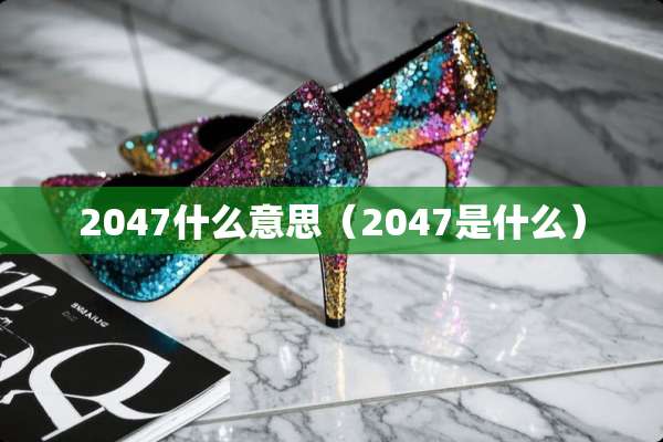 2047什么意思（2047是什么）