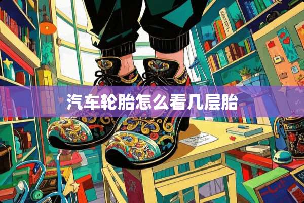 汽车轮胎怎么看几层胎
