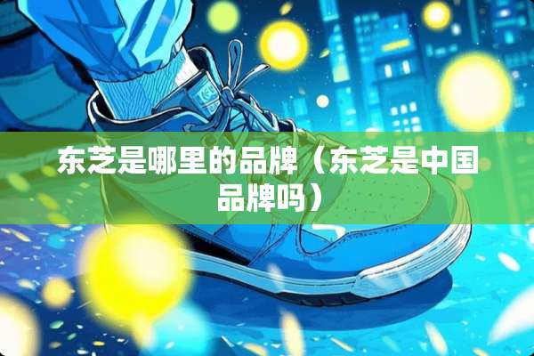东芝是哪里的品牌（东芝是中国品牌吗）