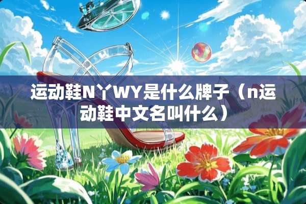 运动鞋N丫WY是什么牌子（n运动鞋中文名叫什么）