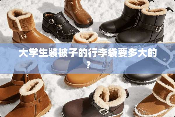 大学生装被子的行李袋要多大的？