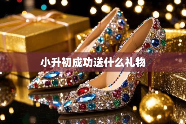 小升初成功送什么礼物