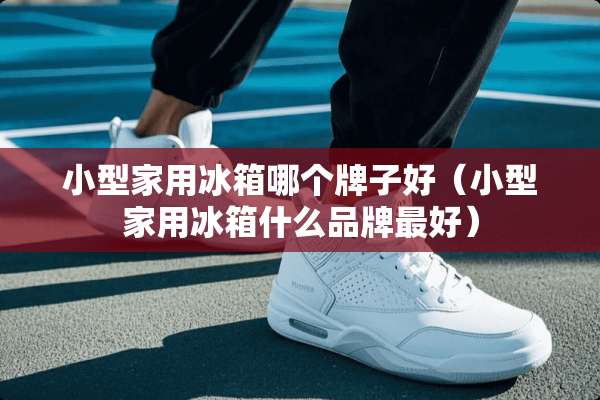 小型家用冰箱哪个牌子好（小型家用冰箱什么品牌最好）