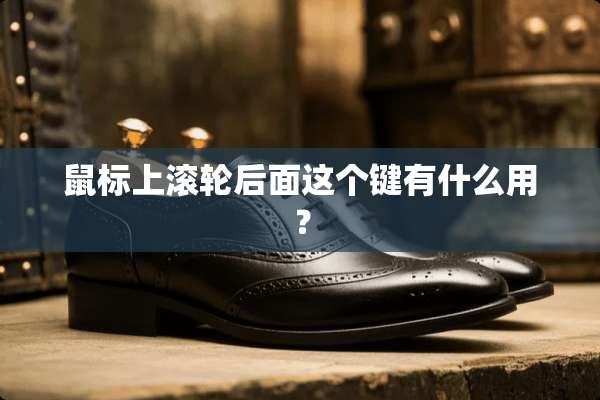 鼠标上滚轮后面这个键有什么用？