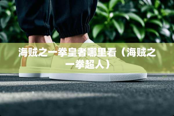 海贼之一拳皇者哪里看（海贼之一拳超人）