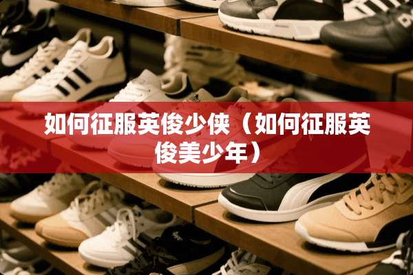 如何征服英俊少侠（如何征服英俊美少年）